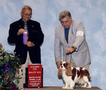 CameliaBay Xacta Zachby